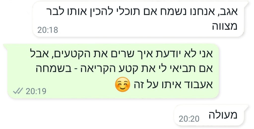 המלצה 02