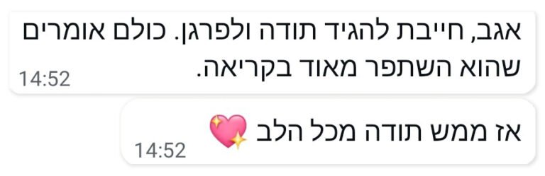 המלצה 06