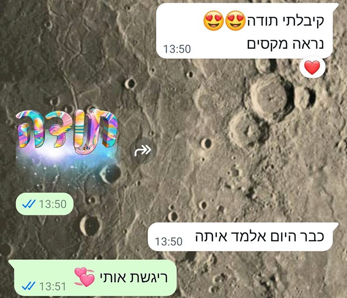 המלצה 23