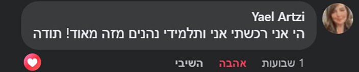 המלצה 29